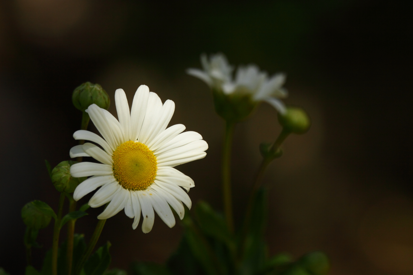 2014 09 22 HTP 88636